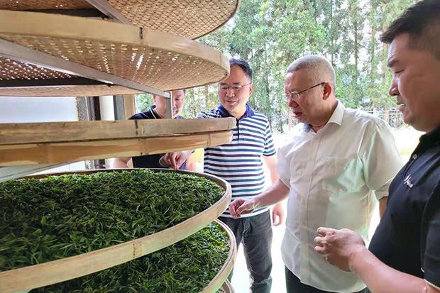 国产精品扒开腿做爽爽爽A片软件