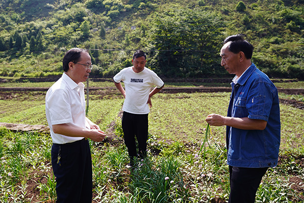国产精品扒开腿做爽爽爽A片软件