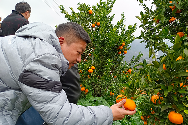 国产精品扒开腿做爽爽爽A片软件