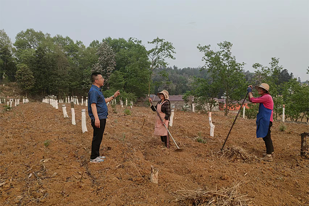 国产精品扒开腿做爽爽爽A片软件