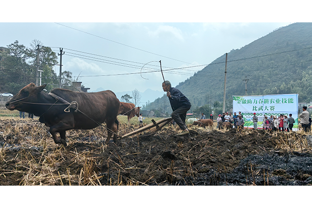 国产精品扒开腿做爽爽爽A片软件