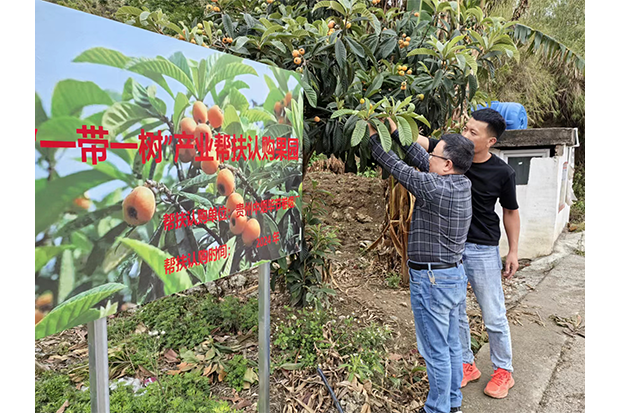 国产精品扒开腿做爽爽爽A片软件