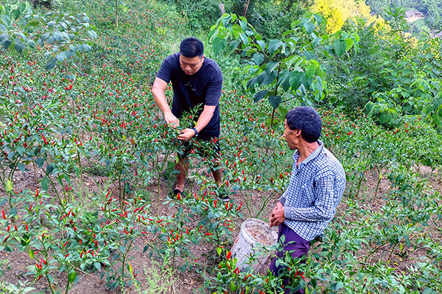 国产精品扒开腿做爽爽爽A片软件