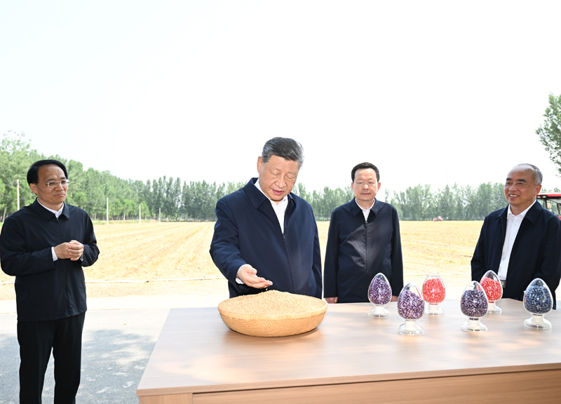国产精品扒开腿做爽爽爽A片软件